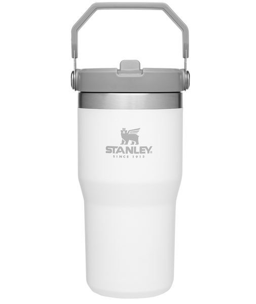 Stanley IceFlow Flip Straw 20oz Tumbler - Hike & Camp