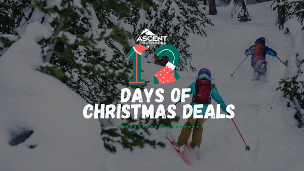 Annual 12 Days Of Christmas Deals
