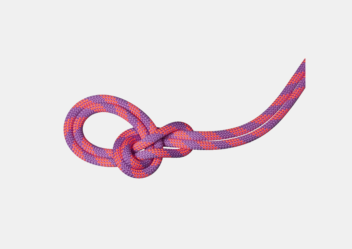 Mammut 9.5 Crag Dry Rope Duodess