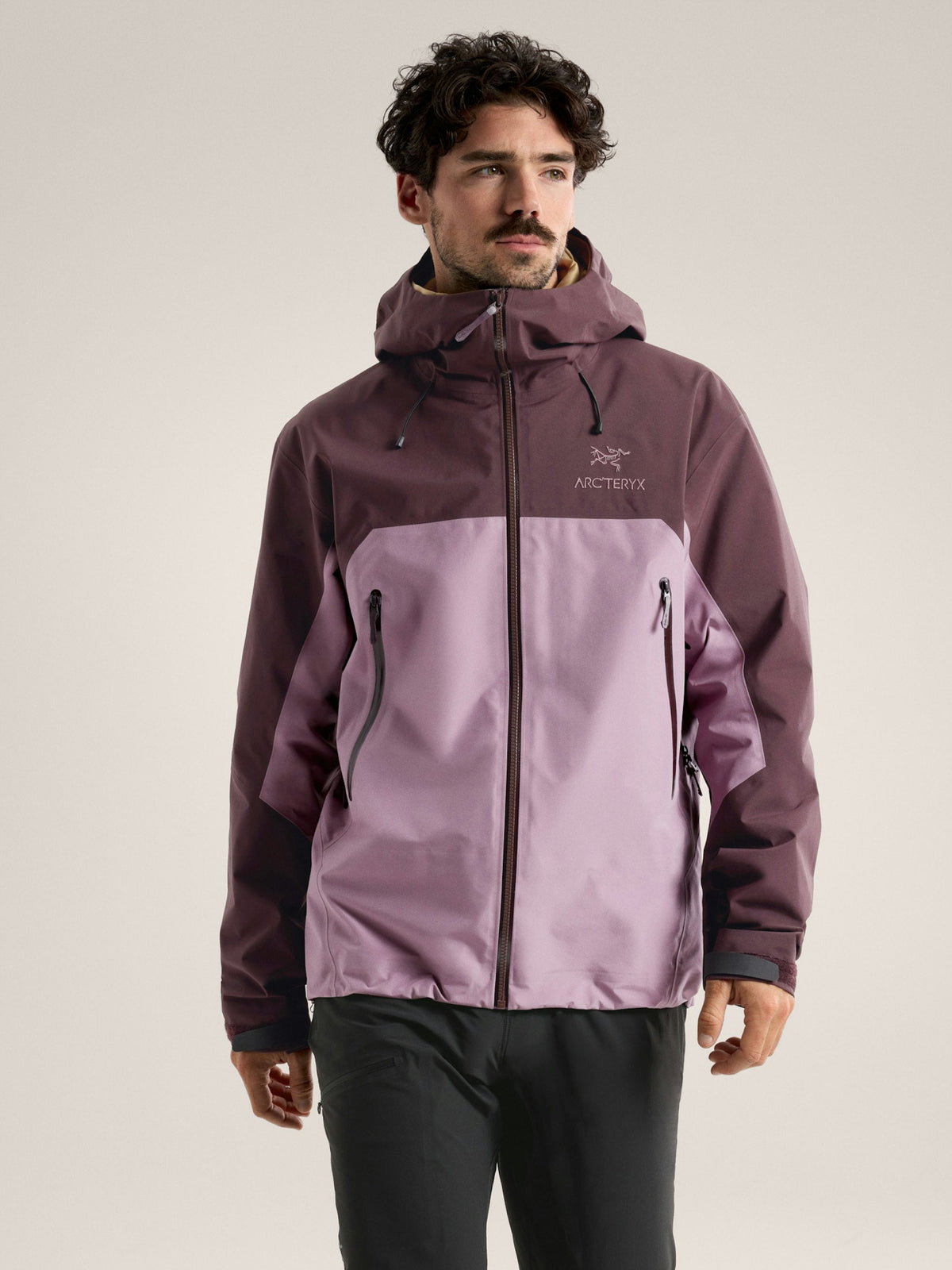 Arcteryx Beta AR Jacket Stormhood Men