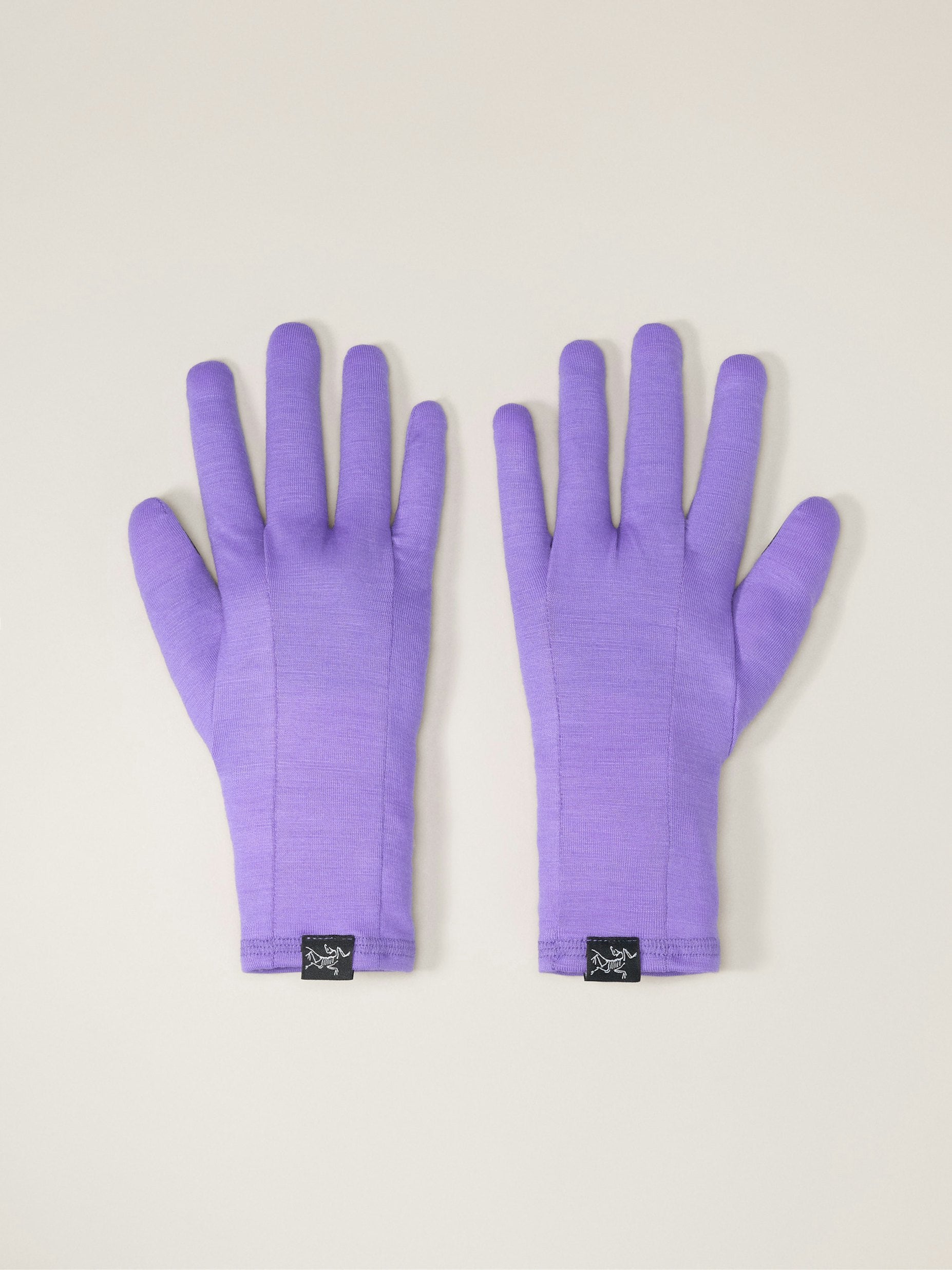 Arcteryx Gothic Gloves