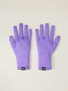 Arcteryx Gothic Gloves