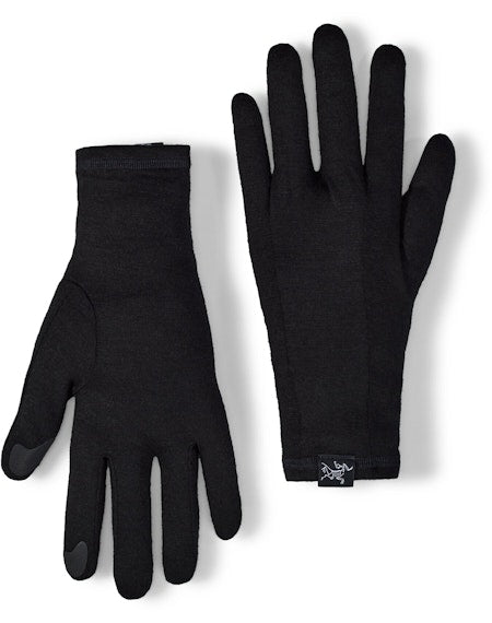 Arcteryx Gothic Gloves