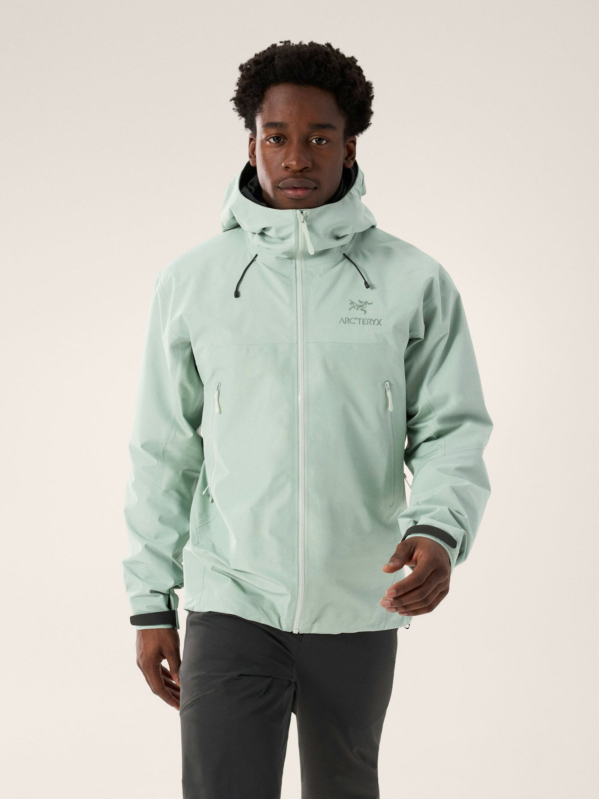 Arcteryx Beta AR Jacket Stormhood Men