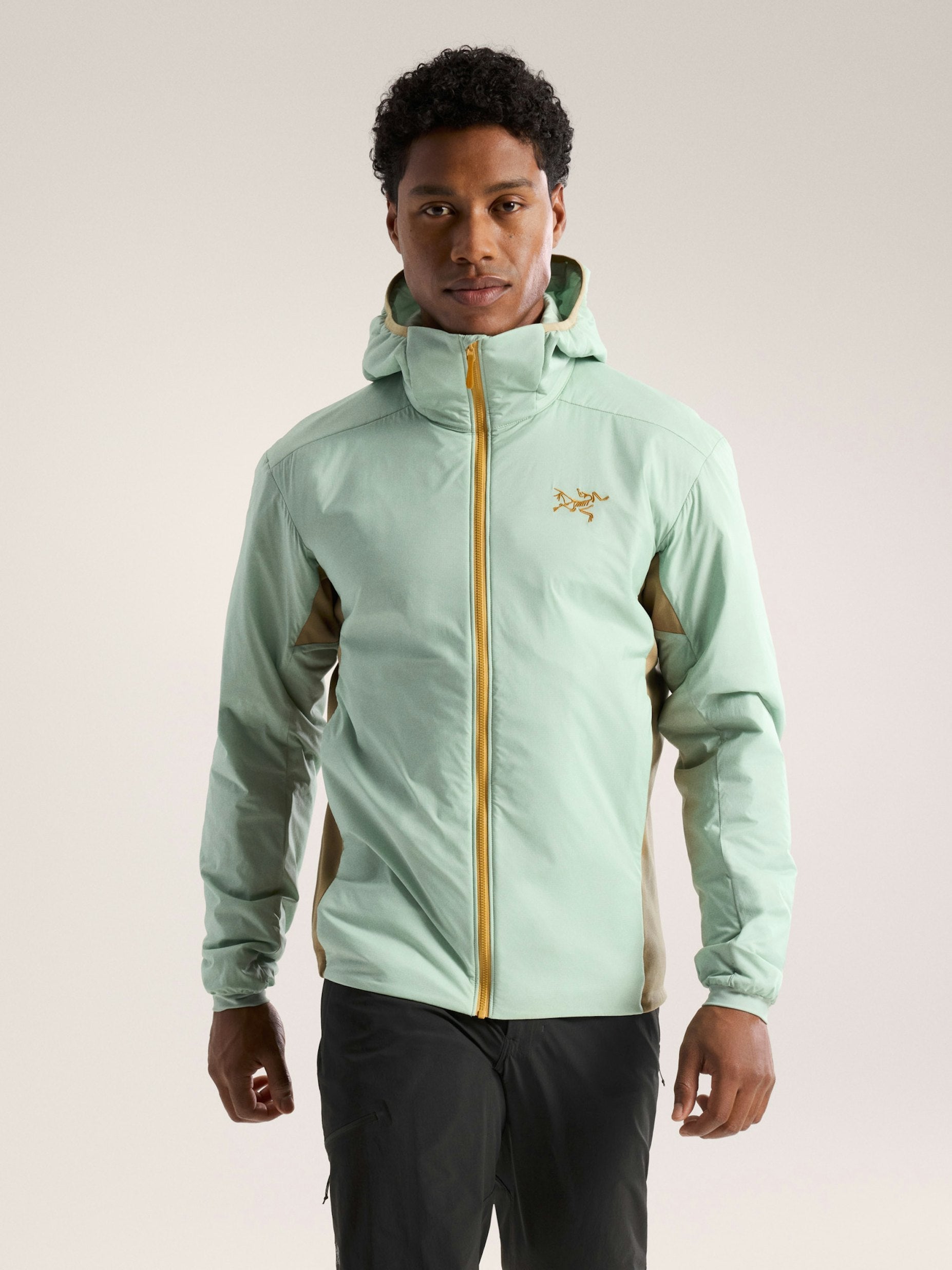Arc'teryx Atom Hoody Men's