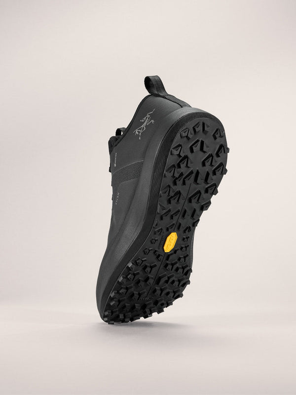 Arc'teryx Sylan GTX Shoe Men's