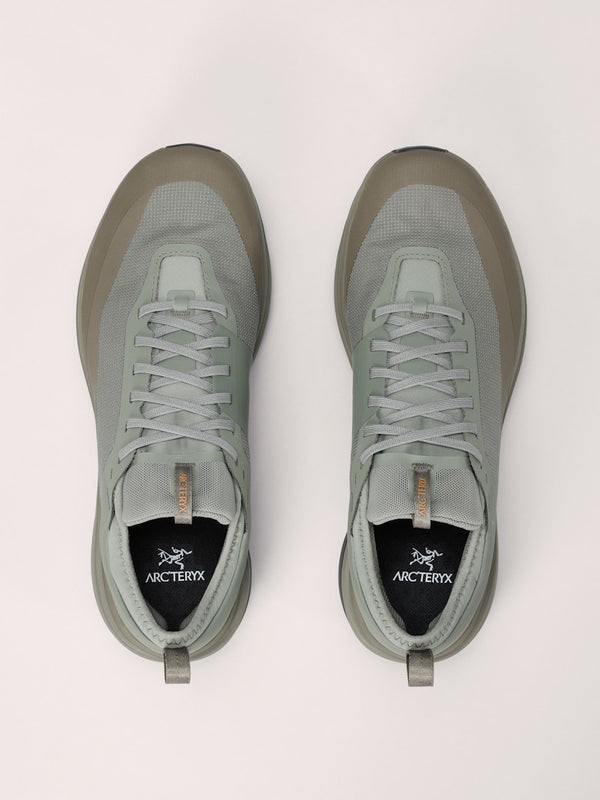 Arc'teryx Sylan GTX Shoe Men's