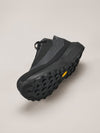 Arc'teryx Norvan LD 4 GTX Shoe  Men's