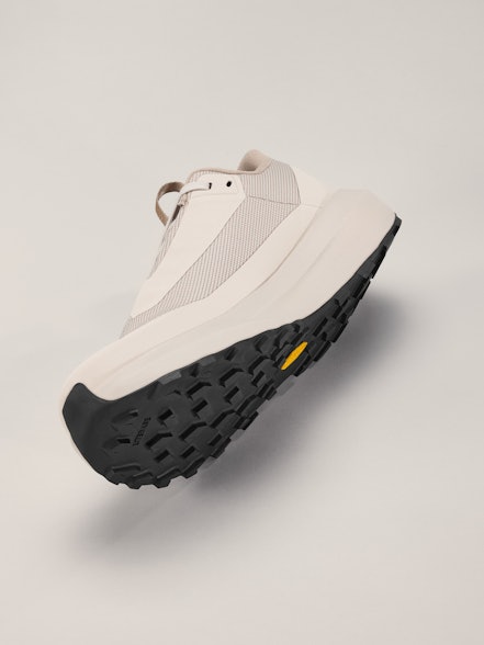 Arc'teryx Norvan LD 4 GTX Shoe  Men's