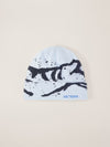 Arc'teryx Grotto Toque