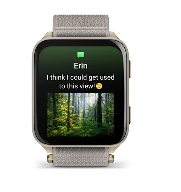 Garmin Venu X1 Soft Gold with Titanium Caseback and French Gray Nylon Band