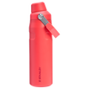Stanley The IceFlow Fast Flow Bottle 24 oz