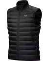 Arc'teryx Cerium Vest Men's