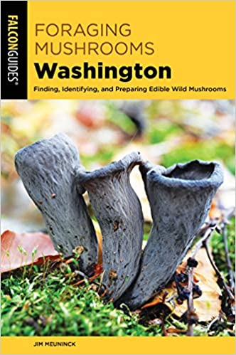Falconguides Foraging Mushrooms Washington - Ascent Outdoors LLC