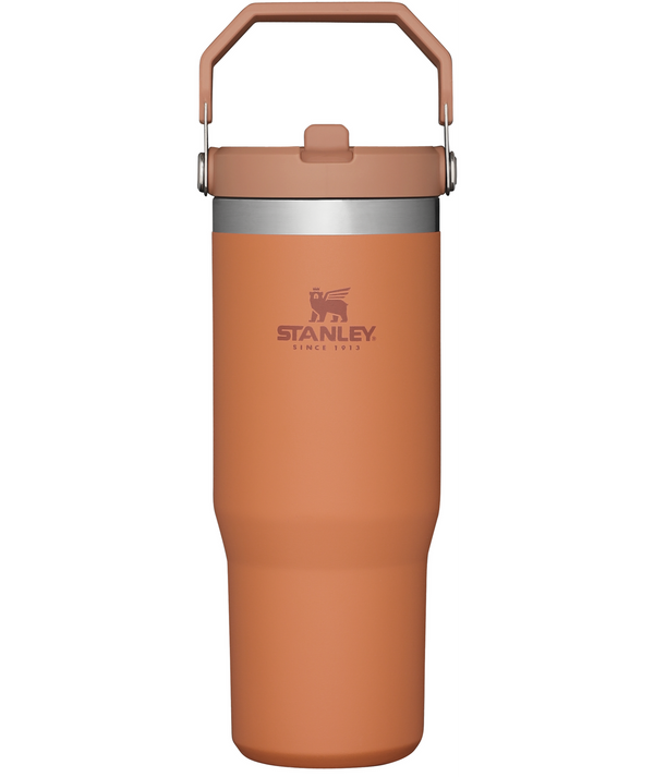 Stanley IceFlow Flip Straw 30 oz Stainless Steel Tumbler with