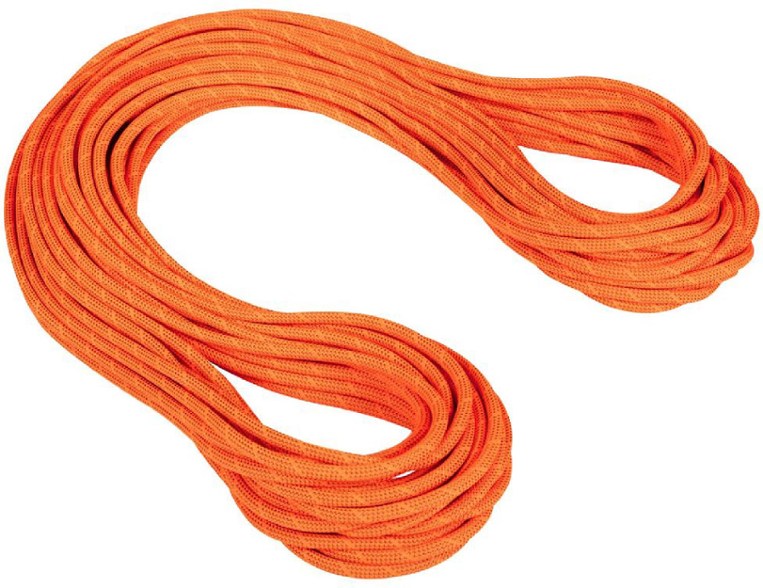 Mammut 9.8 Crag Dry Rope Dry Standard Safety - Ascent Outdoors LLC