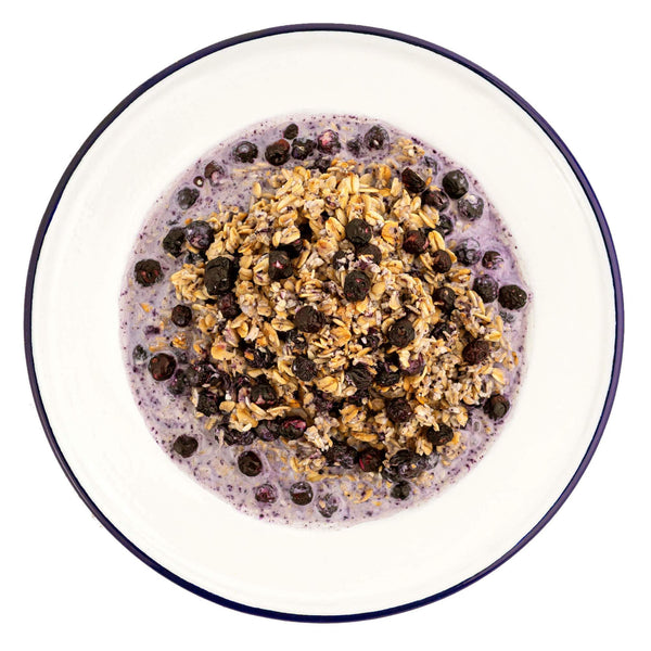 Mountain House Granola with Milk & Blueberries - Military - Ascent Outdoors LLC
