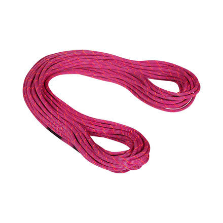 Mammut 9.5 Crag Dry Rope Dry Standard - Ascent Outdoors LLC